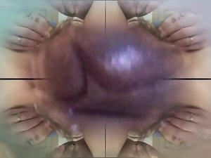 อาหารปลาสำหรับ pussis