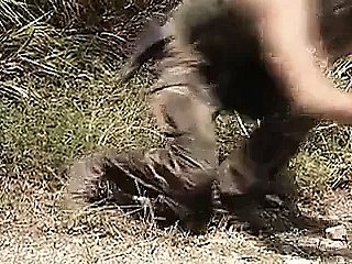 Seks Savaşı Suçları (1995)