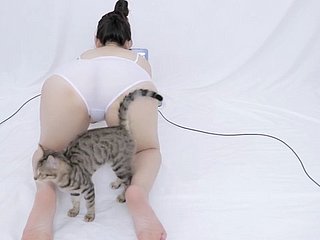 ASMR exposed chinês