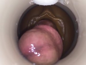 pelatihan courage oleh manusia cum cam