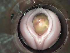 ovulasi lengket dengan cum pria cam