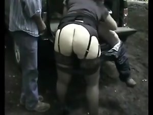 olgun boyunca köpekler eşleri 13