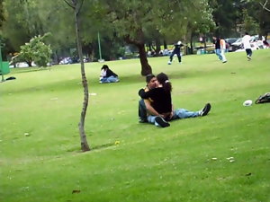 Frente al in France Maquis en el parque