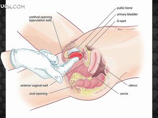 Tìm hiểu để làm massage khiêu dâm cho người phụ nữ của bạn, làm cho cô ấy hạnh phúc và thư giãn và sau đó đụ cứng của mình! Whe sẽ trở thành một plasticine mềm