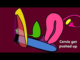 Como funciona o Vagina