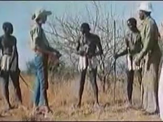 MAXI Cocks AFRIKA